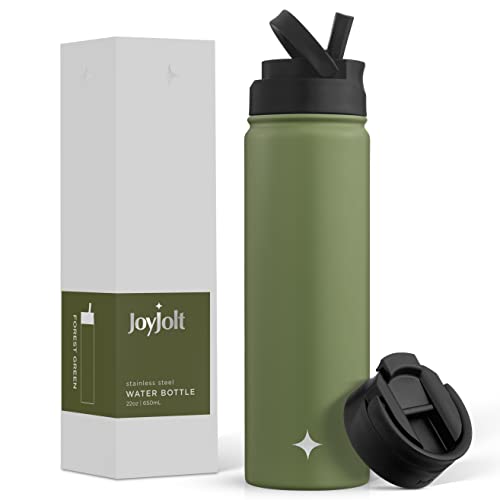 JoyJolt Triple Insulated Water Bottle