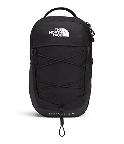The North Face 10L Mini Borealis Laptop Backpack