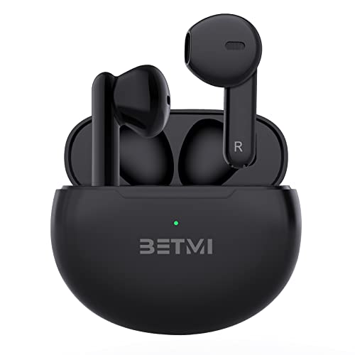 True Wireless Earbuds with Dual Mic