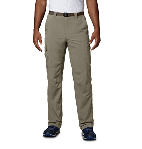 Columbia Men's Silver Ridge Cargo Pant