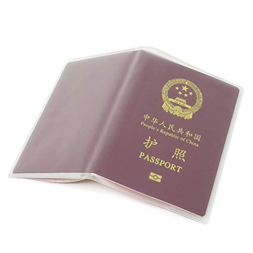 Frosted Passport Protector with Extra Slots