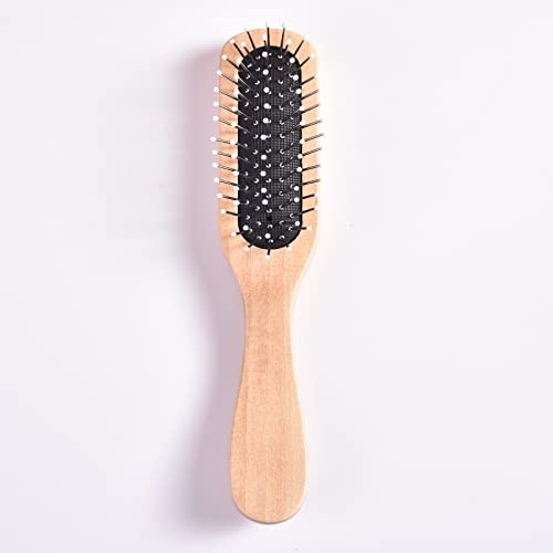 Small Hair Brush, Mini Travel Hair Brush for Women/Men/Kids