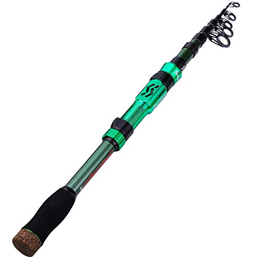 Portable Travel Fishing Rod