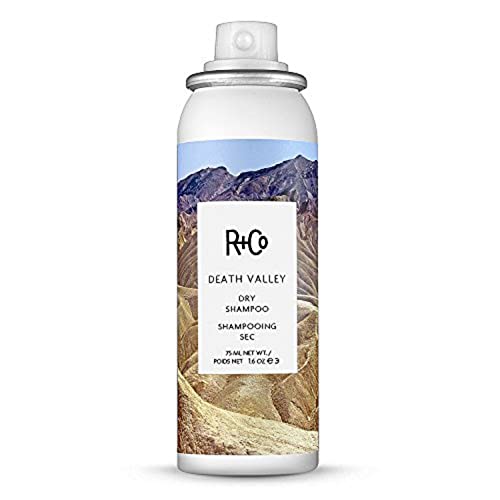 41 zGXynY3L. SL500  - 9 Amazing Travel Size Hair Products for 2023
