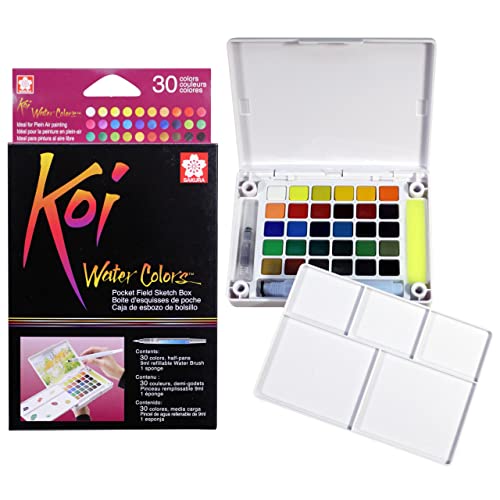 Koi Pocket Field Sketch Kit