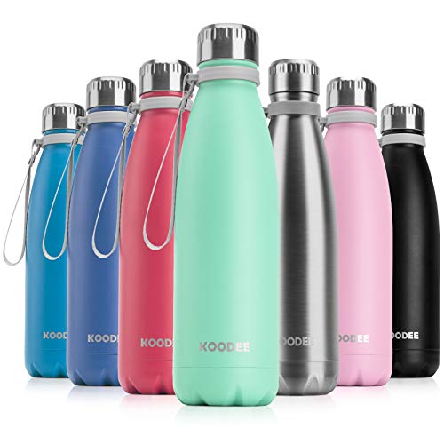 410SSLaQO2L. SL500  - 15 Amazing Stainless Steel Bottle for 2024