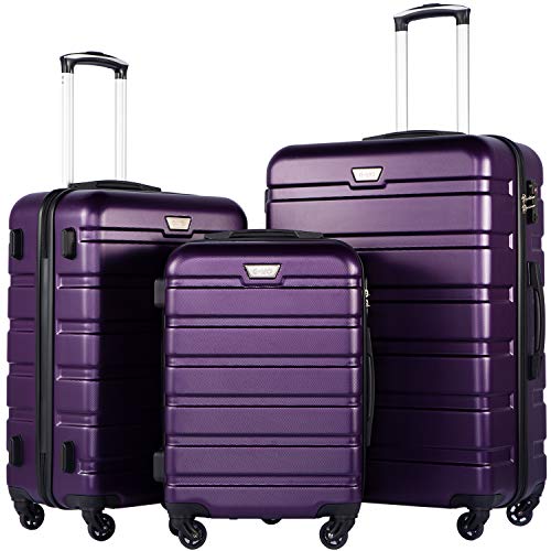 411jO0PQwL. SL500  - 10 Amazing Purple Luggage for 2023