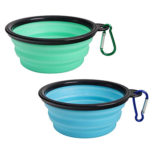 411s PldGNL. SL500  - 13 Amazing Dog Travel Bowl for 2023