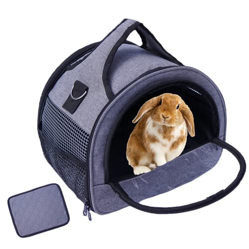Guinea Pig Carrier with Stable Handle and Waterproof Pad