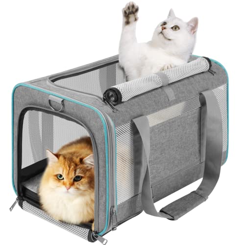 415f0ihcJ5L. SL500  - 12 Amazing Cat Carrier Bag for 2024