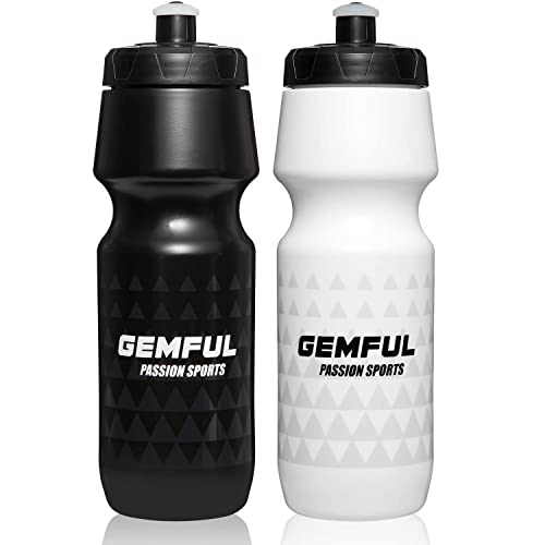 GEMFUL Water Bottle Biking 2 Pack