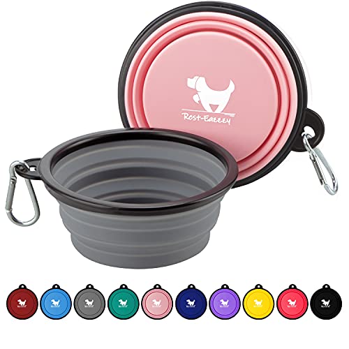 418fDamfwCS. SL500  - 13 Amazing Dog Travel Bowl for 2024