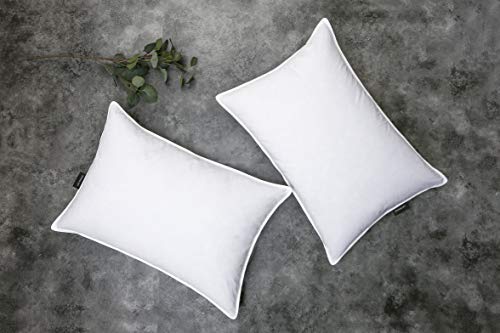 SNUG&COZY Grey Goose Feather Down Pillows - 2 Pack