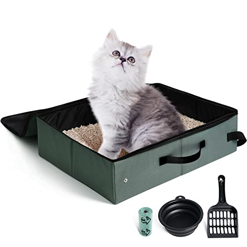 Portable Litter Box with Lid