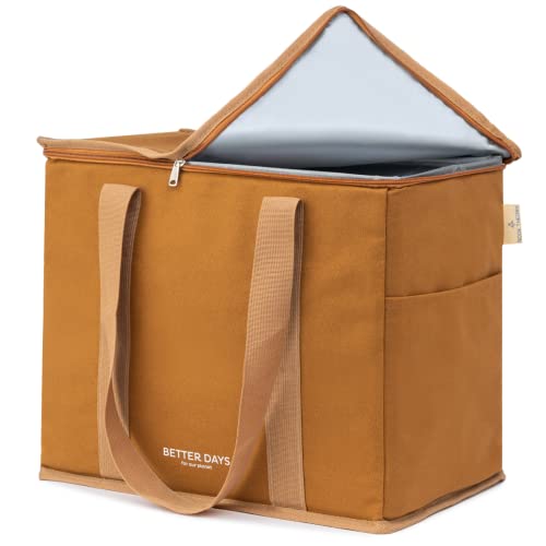 Reusable Insulated Grocery Bag