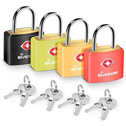 TSA Approved Travel Locks by GIVERARE