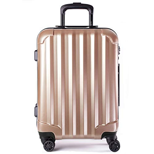 Genius Pack Hardside Luggage Spinner