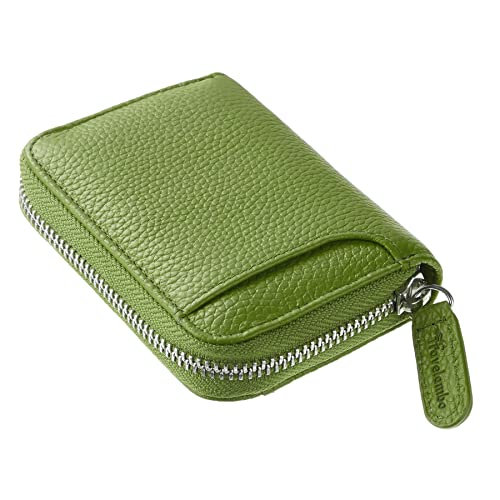 41FyK15tO7L. SL500  - 12 Amazing Travelambo Wallet for 2024