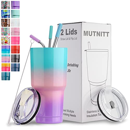 Insulated Stainless Steel Tumbler with Straws