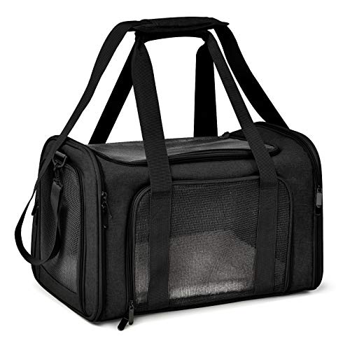 41JEuzgwYL. SL500  - 9 Amazing Small Dog Carrier Bag for 2024