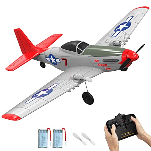 Easy to Fly RC Plane