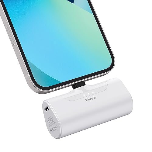 iWALK Portable Charger