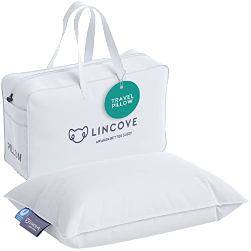 Luxurious Canadian Down Feather Travel Pillow