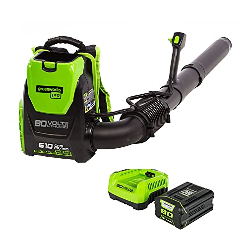 Greenworks 80V Cordless Backpack Leaf Blower