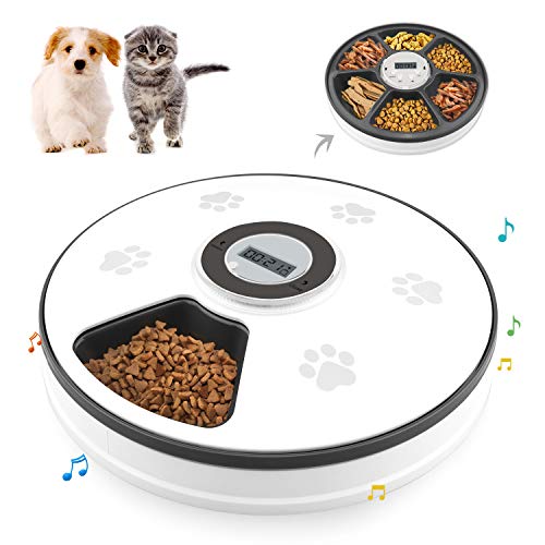 Chintu Automatic Cat Food Dispenser