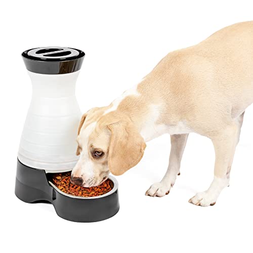 Automatic Cat & Dog Feeder