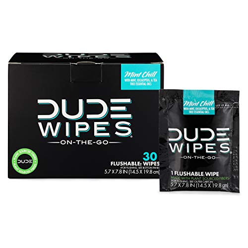 DUDE Wipes - Mint Chill Flushable Wipes