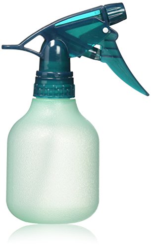 Refillable Spray Bottle - Rayson