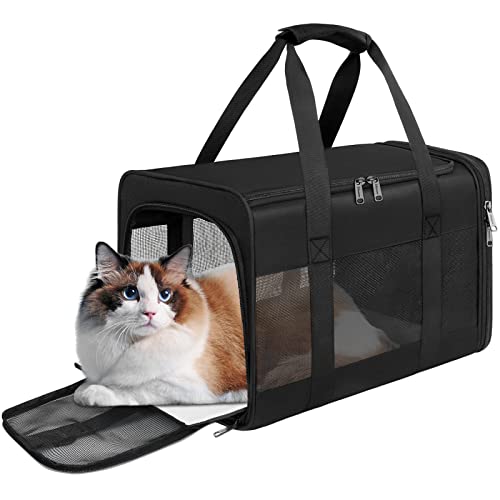 41TFShLE8ZL. SL500  - 13 Best Airplane Cat Carrier for 2024