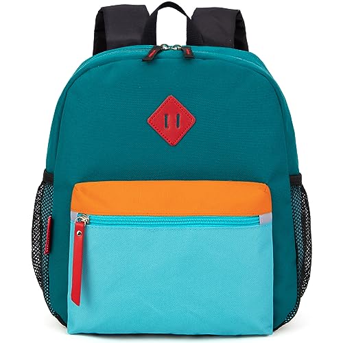 HawLander Preschool Kids Backpack