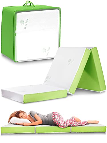 Cushy Form Foldable Floor Mattress