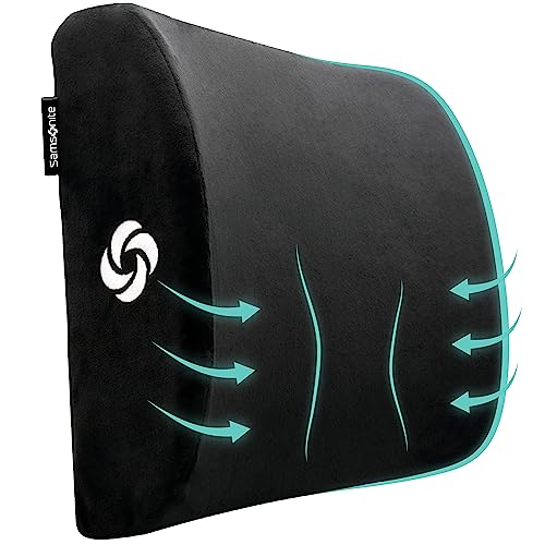 SAMSONITE Lumbar Support Pillow
