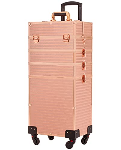 41TpT4YfUaL. SL500  - 14 Amazing Lug Cosmetic Case Trolley for 2024