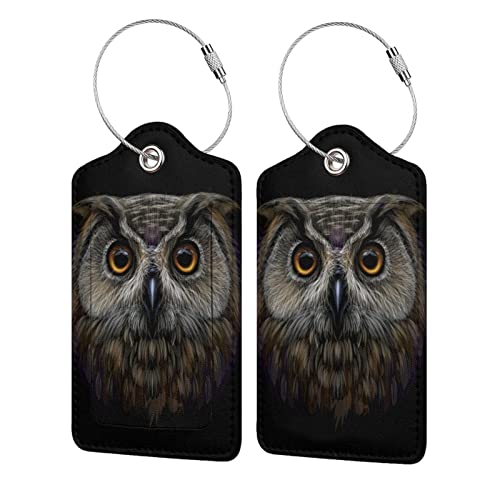 41Uig7WUx3L. SL500  - 13 Amazing Owl Suitcase for 2023
