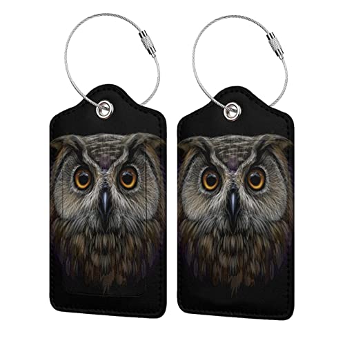 41Uig7WUx3L. SL500  - 13 Amazing Owl Suitcase for 2024