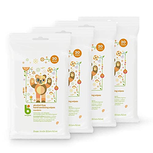 Babyganics Alcohol-Free Hand Sanitizing Wipes