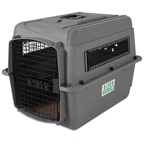 Petmate Sky Kennel Pet Carrier