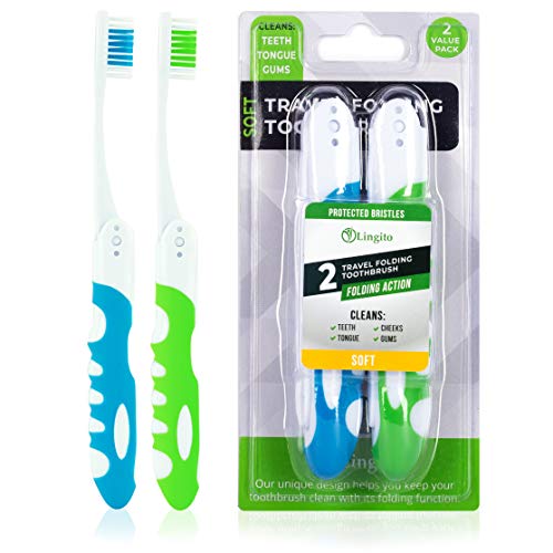 Portable Travel Toothbrush Kit