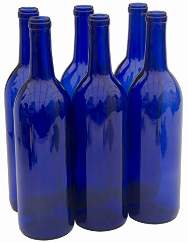 41XXv rEZvL. SL500  - 10 Amazing Blue Bottle for 2024