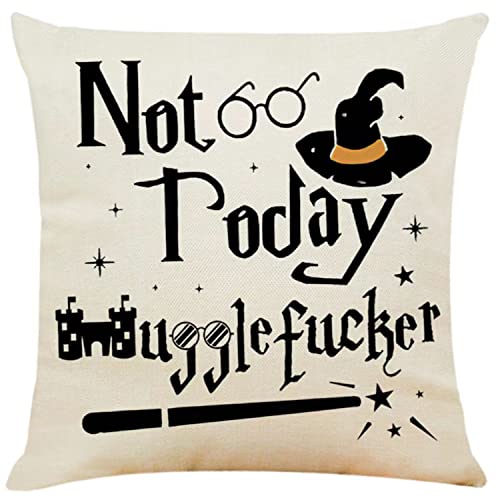 Harry Pillow Cover for Potter Movie Fans