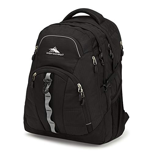 High Sierra Access Laptop Backpack