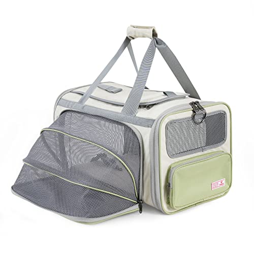 Pawaii Cat Carrier with ID Tag