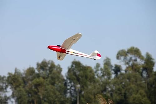 FMS Moa Glider 1500mm Wingspan RC Airplane Trainer
