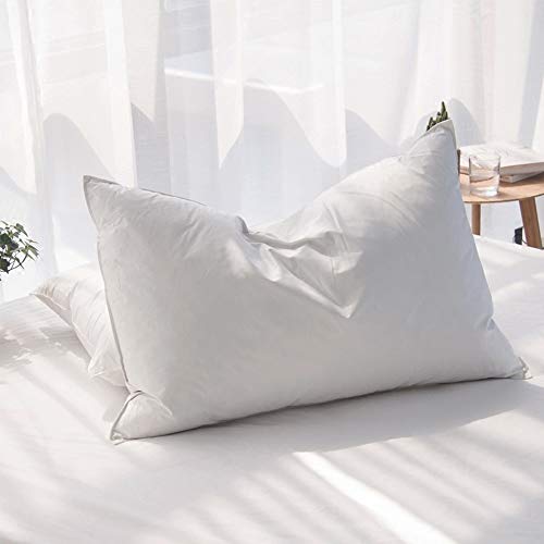 Luxury Feathers Down Pillows for Sleeping