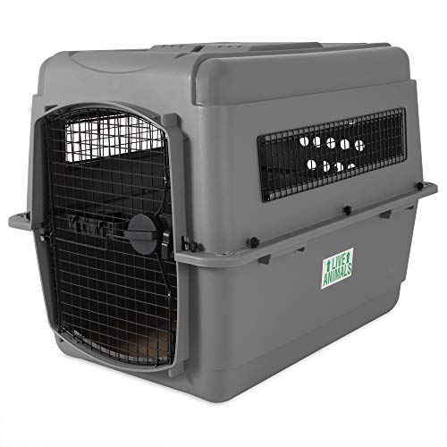 Petmate Sky Kennel Pet Carrier Petmate Sky Kennel Pet Carrier