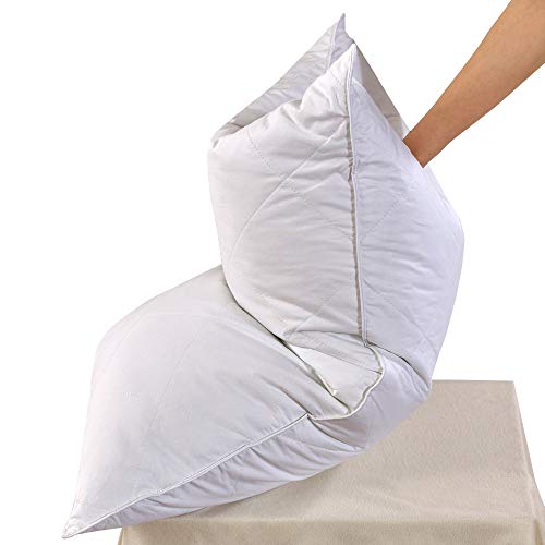 41qPtNfo43L. SL500  - 14 Amazing Down Travel Pillow for 2023